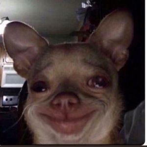 Meet your Posher, Zakharia